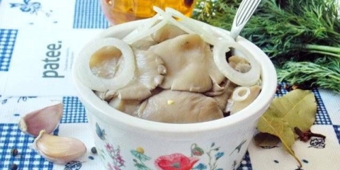 Kako ukiseliti bukovače za zimu